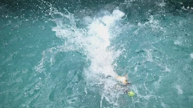 Labrador enthusiastically jumps into pool to catch tennis ball thrown there. Dog excitedly dives into cool water pool, captivated by game. Fun ball game in pool great way to cool down active labrador.