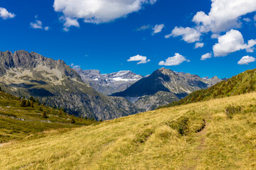 Obraz premium Chamonix Montblanc beautiful alpine mountain summits landscape. Alps mountains with snow and glacier above green valley of Chamonix in France. Alps beautiful scenery in summer
