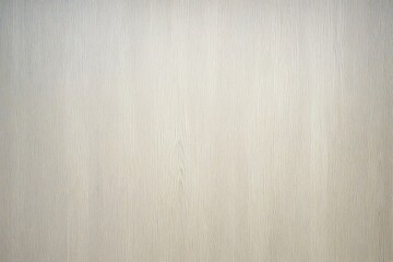 Fototapeta premium brushed metal background