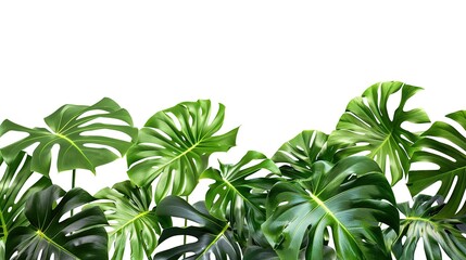 Green leaves of tropical plants bush floral arrangement indoors garden nature. Generative Ai