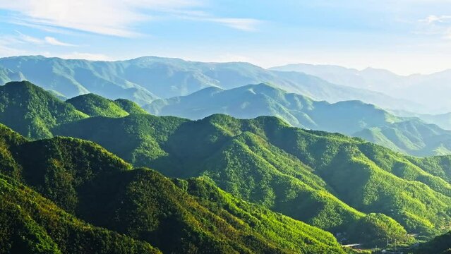 Aerial view of green forest and mountain nature landscape in the morning. mountain range landscape in summer.
