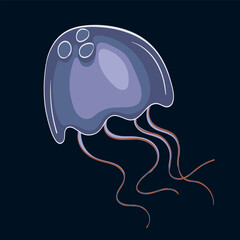 Jellyfish in Cartoon style. Vector illustration of jellyfish on dark background
