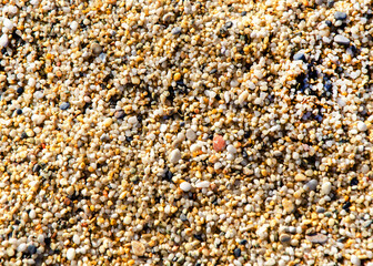 Texture of sand on beach. Background image for design. Beautiful beach sand texture as background