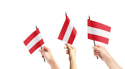 A group of people are holding small flags of Austria in their hands.