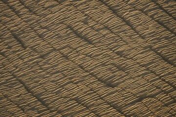 Fototapeta premium texture