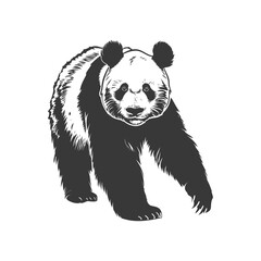 silhouette panda animal full body black color only