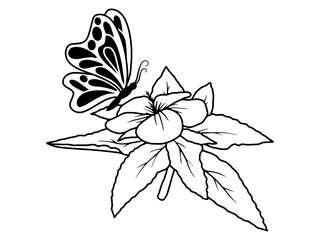 Obraz premium Flower Butterfly Line Art Illustration 