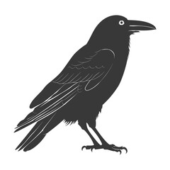 Fototapeta premium silhouette raven animal full body black color only