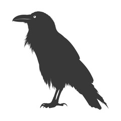 Fototapeta premium silhouette raven animal full body black color only