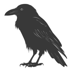 silhouette raven animal full body black color only