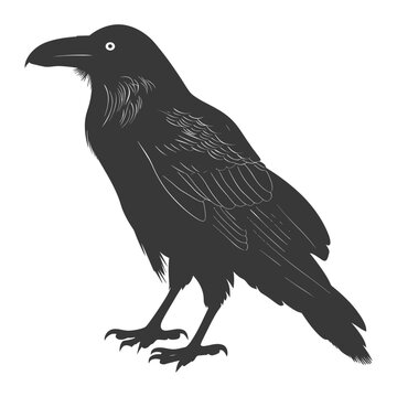 recommend clip art: silhouette raven animal full body black color only