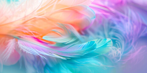 Close-up of colorful feathers in pastel hues.