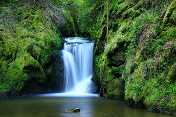 waterfall in the forest
