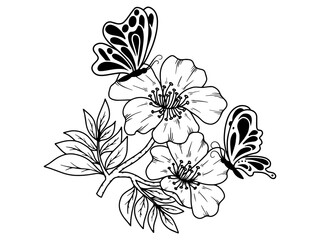 Flower Line Art Butterfly Illustration
