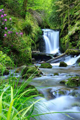 waterfall in the forest