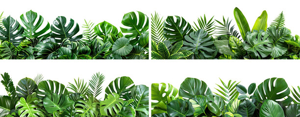 Set of lush green tropical plants bushes (monstera, palm, rubber plant, pine and fern), cut out © Yeti Studio