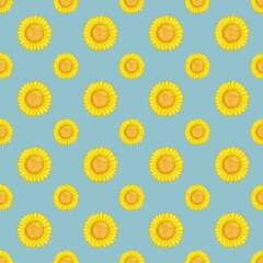 Seamless pattern Sunflower