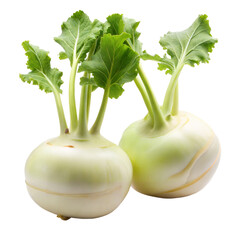 Kohlrabi (German turnip or turnip cabbage) two raw bulbs with fresh leaves isolated on white background 