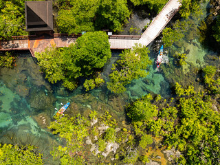 Top view Mangrove forest and river landscape at Thapom Klong Song Nam, Krabi Thailand, Beautiful...
