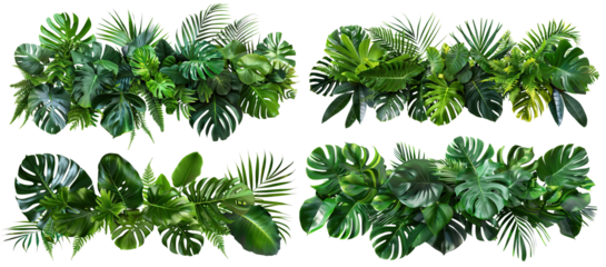 Set of lush green tropical plants bushes (monstera, palm, rubber plant, pine and fern), cut out
