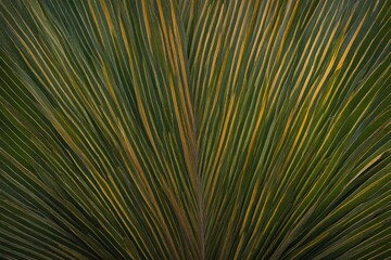 Obraz premium palm leaf background
