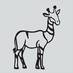 The Black Outline Of The Giraffe Vector Illustration  On a white background.panoramic view