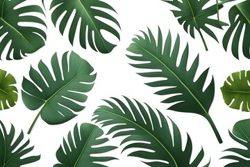Tropical green palm leaf