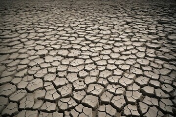 dry cracked earth