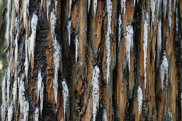 texture