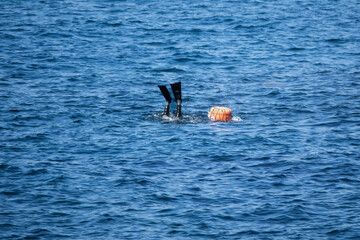 View of the working hanyeo, a female diver collecting seafood