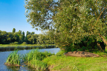 River in the forest, lake in the woods, river and clouds
