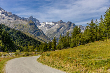 Chamonix Montblanc beautiful alpine mountain summits landscape. Alps mountains with snow and glacier above green valley of Chamonix in France. Alps beautiful scenery in summer