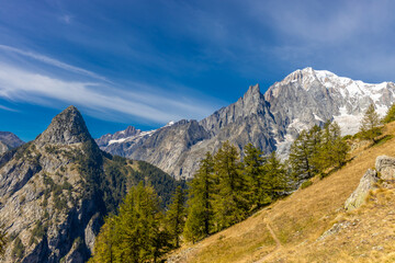 Chamonix Montblanc beautiful alpine mountain summits landscape. Alps mountains with snow and glacier above green valley of Chamonix in France. Alps beautiful scenery in summer