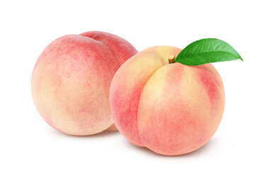 桃 イラスト リアル 白バック