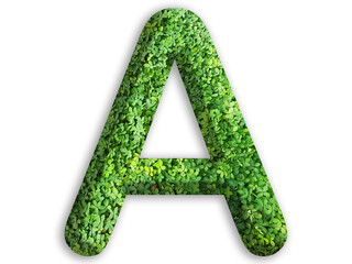 3d of alphabet A, design made from green grass on white background
