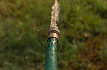 Regando el jardin, agua saliendo de una manguera