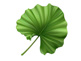 Taro leaf die cut PNG style isolated on white and transparent background