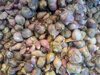 fresh red onion in the market display