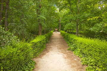 Obraz premium Pathway Through A Park In Spain, Green, trees, Pathway
