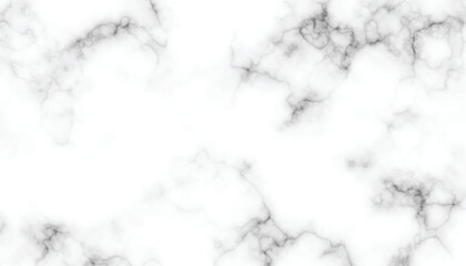 Marble texture abstract background. White marble texture. black wave cracks.	
