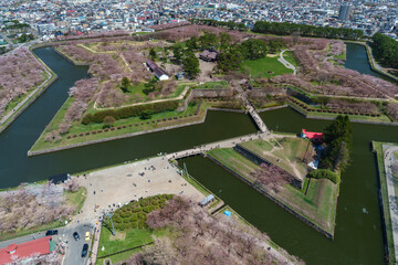 五稜郭タワーから見た五稜郭公園の桜