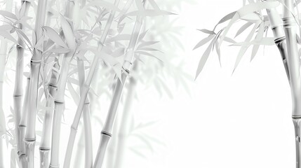 isolated white background of bamboo shoots
