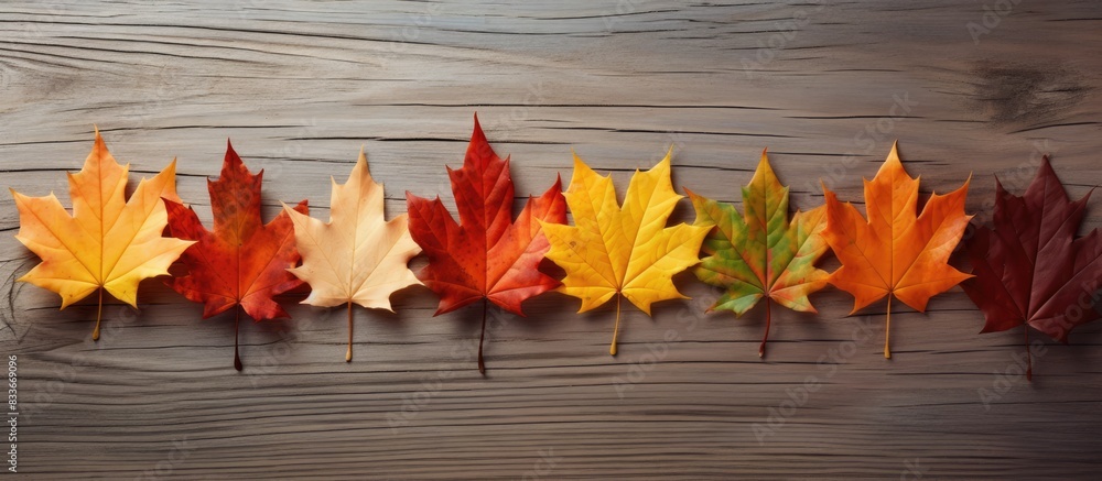 Poster close up copy space image of autumn leaves arranged in a row on a wooden background
