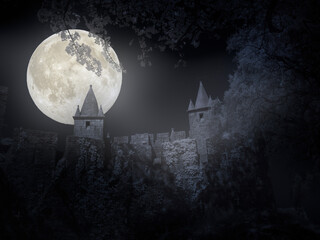 European medieval castle at night