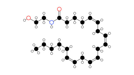 anandamide molecule, structural chemical formula, ball-and-stick model, isolated image neurotransmitter