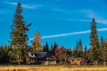 Tarnawa w Bieszczadach © Marek