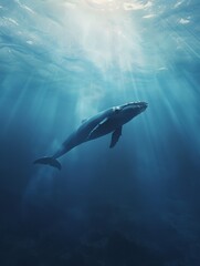Fototapeta premium Majestic Whale Gliding Through Underwater Seascape with Gentle Natural Light Illumination