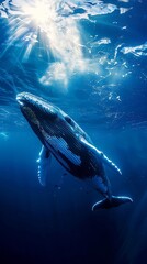 Fototapeta premium Majestic Whale Diving in the Deep Blue Ocean Surrounded by Marine Life