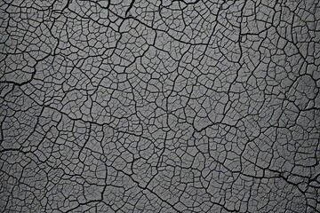 Fototapeta premium texture of the bark of a tree