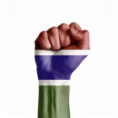 Hand raised into a fist at the Gambia  Flag Painted Isolated background, power, protest concept, culture, human hand, symbol, danger.